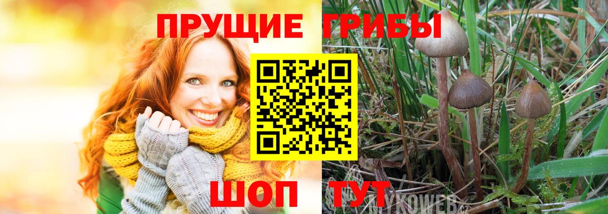 Галлюциногенные грибы Magic Shrooms  даркнет сайт  Фролово  Галлюциногенные грибы мухоморы  Вход с VPN 